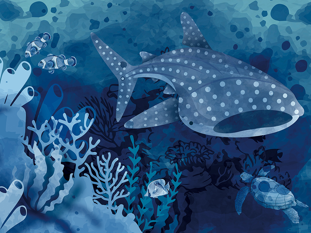 過好日子】海洋中的溫柔巨人｜停泊棧|萬海航運慈善基金會