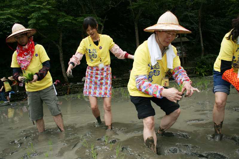 基金會執行長一定要當小朋友的表率，很累也要插完一排，努力種稻．